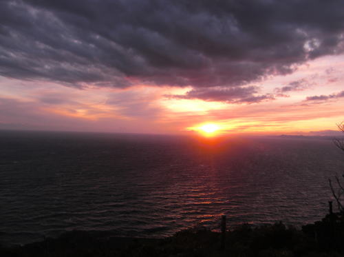 f0094843_18223583.jpg