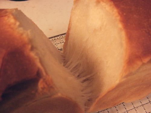 e0160246_12294021.jpg