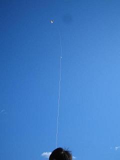 c0178256_1015630.jpg