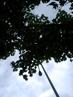 e0107456_15345942.jpg