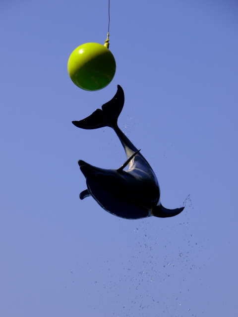 c0186760_2234093.jpg