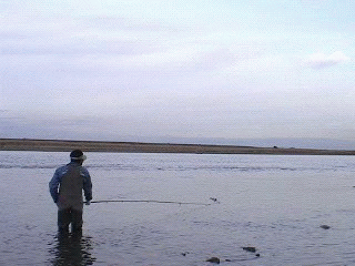 f0084561_12454298.gif