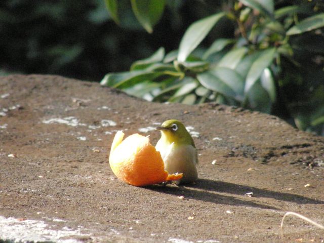c0042869_2218166.jpg