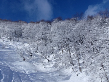 d0149572_21501531.jpg