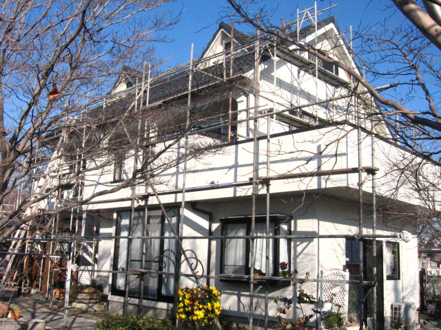 d0070473_918431.jpg