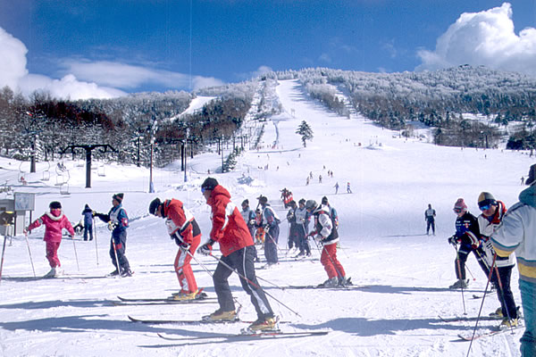 e0077875_1184995.jpg