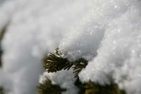 d0079579_1931296.jpg