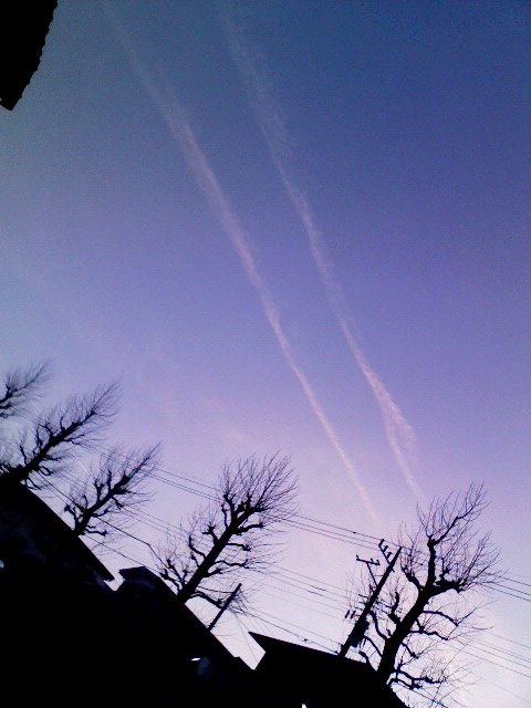 f0016783_23502040.jpg