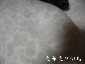 b0000885_9551682.jpg
