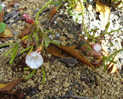 e0026586_14531742.jpg