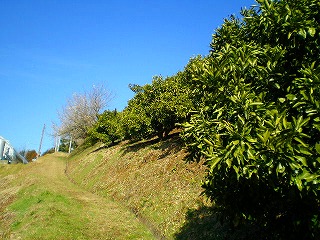 e0123587_9113423.jpg