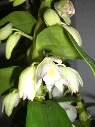 b0128589_1095469.jpg
