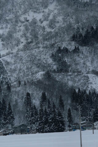 d0133693_2242481.jpg