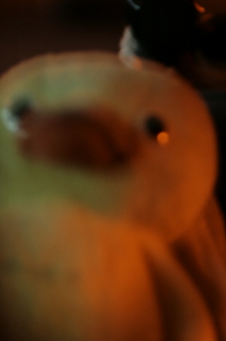d0133693_427657.jpg