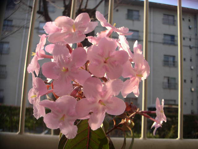 c0173896_2111299.jpg