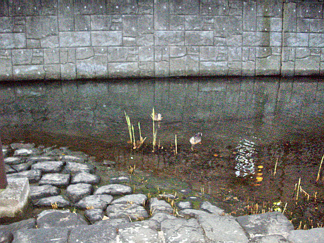 c0138198_1647588.jpg