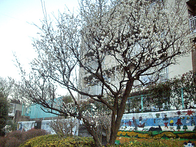 c0138198_1657841.jpg