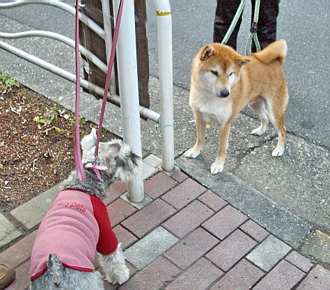 c0138198_170036.jpg