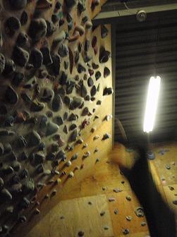 c0147398_116381.jpg