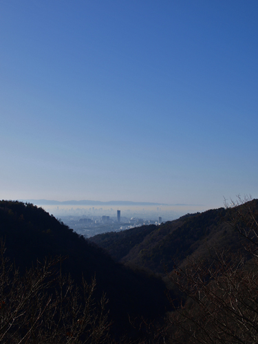 c0188008_215839100.jpg