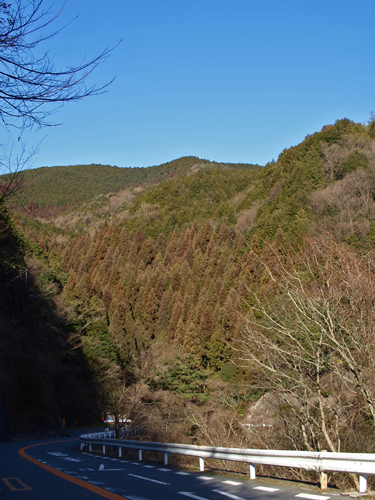 c0188008_21594766.jpg