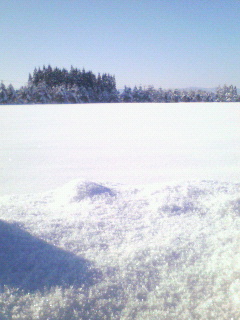 f0031013_12175452.jpg