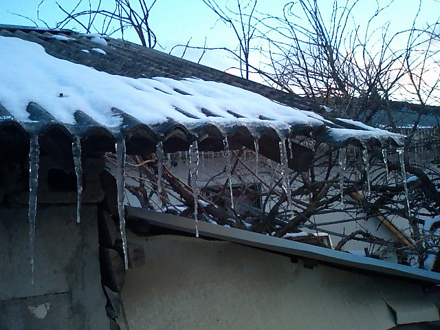 a0101715_12241278.jpg
