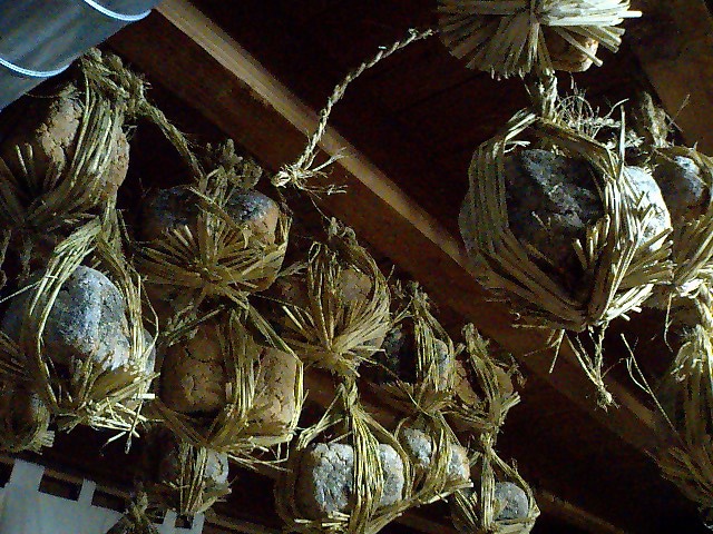 a0101715_12273252.jpg