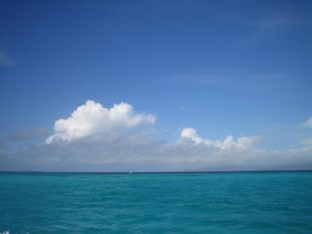 c0000816_2336175.jpg