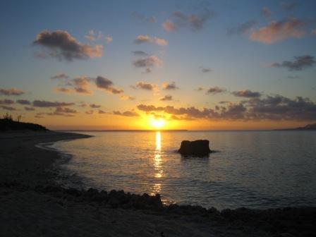 c0000816_233765.jpg