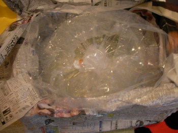 d0004617_22141471.jpg