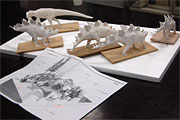 f0191517_15894.jpg