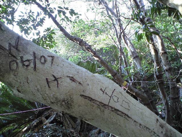 e0123920_20254844.jpg
