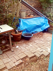 a0034225_12484488.jpg