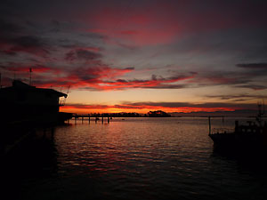 d0023725_1864742.jpg