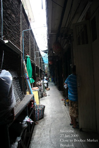 d0042827_312834.jpg