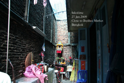 d0042827_314124.jpg