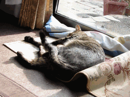 c0136736_11532966.gif