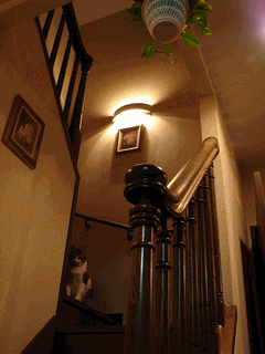 c0136736_11534086.gif