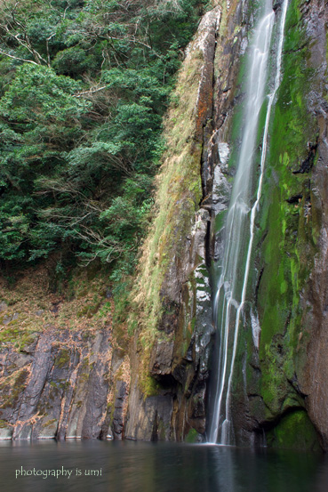 e0083238_2318211.jpg