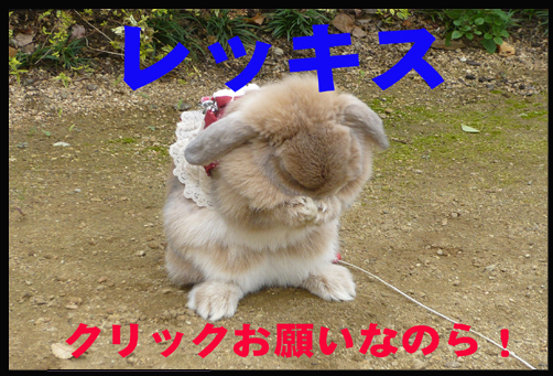 c0151439_11142199.jpg