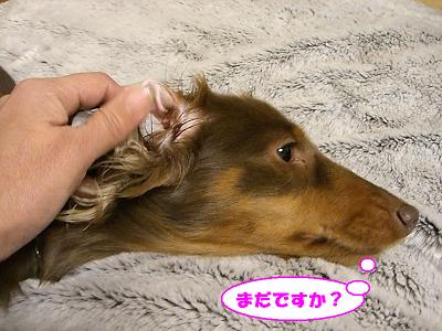 f0186040_23213485.jpg