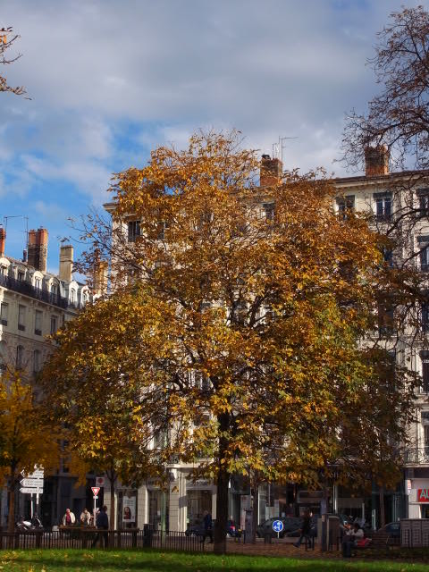 a0087341_912134.jpg