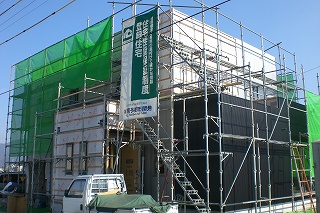 b0082242_2037583.jpg