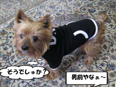 似合ってますか?