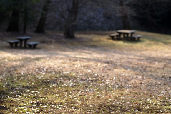 e0009147_9191974.jpg