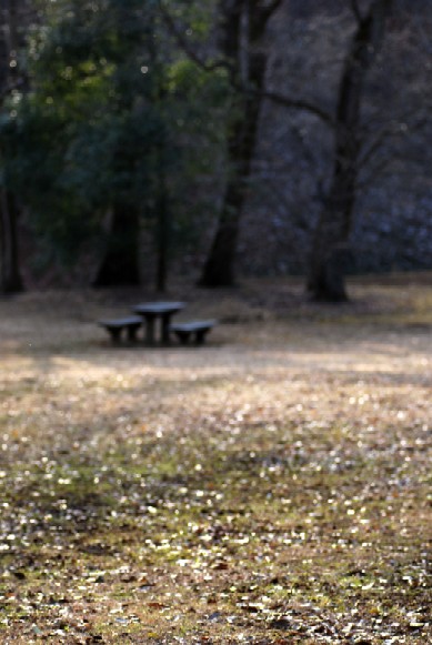 e0009147_9214938.jpg