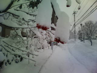 e0092362_0173862.jpg