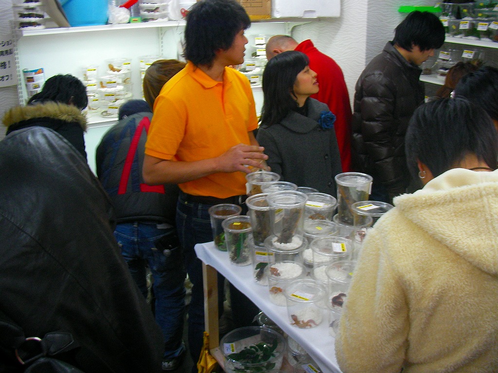 e0099576_11315741.jpg