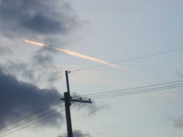 f0005081_1335499.jpg